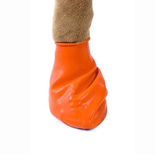 Xs Pawz Dog Boots & Sanipaw Dog Paw Wipe Bundle #TOP1