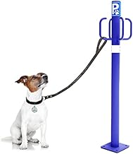 YMBERSA Náyade System Dog Parking Post: Poste Parking Exterior con 4 Ganchos. Color Azul