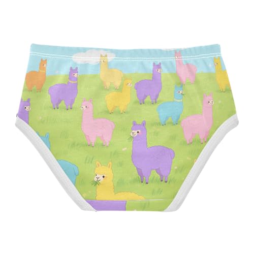 Organic Cotton Panties Stretchy Triangle Panties Comfort Underwear for Kids in Sizes 2T,3T, 4T, 5T, 6Y and 8Y2