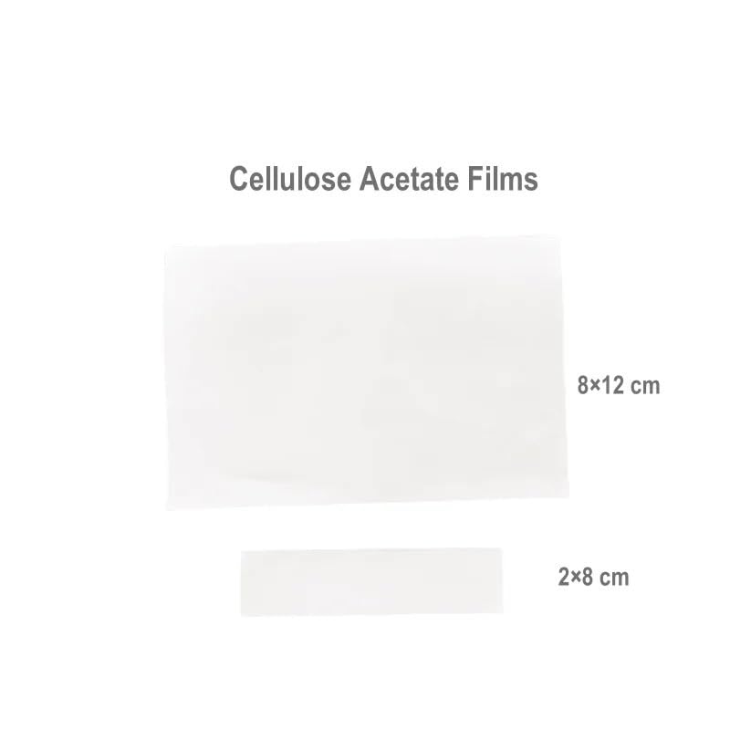 Cellulose Acetate Filter Paper Cellulose Acetate Films CA Serum Protein Electrophoresis Membrane 2 * 8cm 8 * 12cm Pack of 50 Sheets(2x8cm 50 Sheets)
