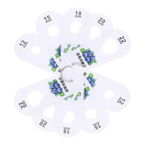 INOOMP 2pièces Outil De Mesure De Diamètre De Blueberry Pour Évaluation Des Fruits Outil Et Portable Pour à Ferme