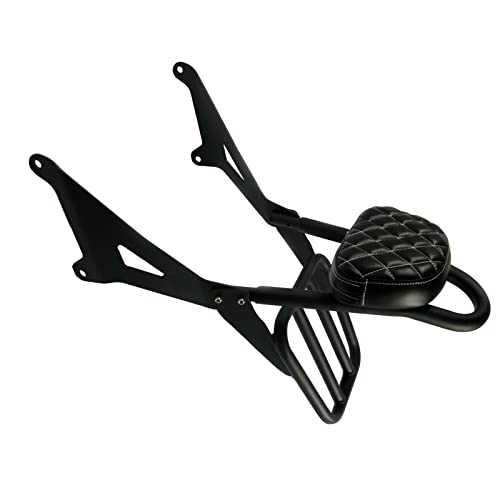 Barre Sissy de Dossier de Passager Moto avec Porte-Bagages pour Stryker 1300 XVS1300