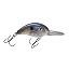 Blue Gizzard Shad