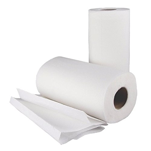 SafePro PT, 2-Ply White Roll Paper Towels, Disposable Regular Hand Towels in a Roll, 30 Rolls Per Case