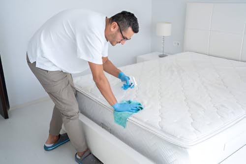 Top Deep Cleaning Services for a Spotless Home