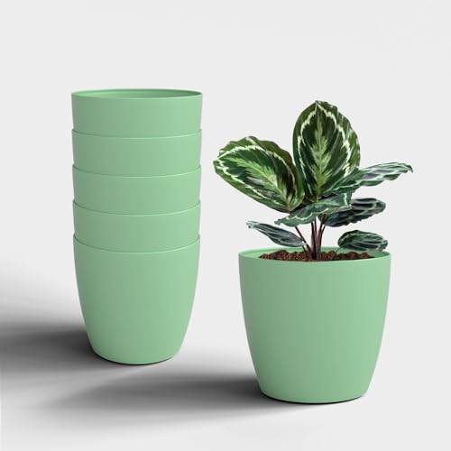 Image of YUCCABE ITALIA SHERA Stella 6 Inch Plastic Plant Pot for Home Decor Indoor Plant Pots for Living Room Plastic Flower Pot for Garden (Aqua, 6 INCH - 6 Pcs)
