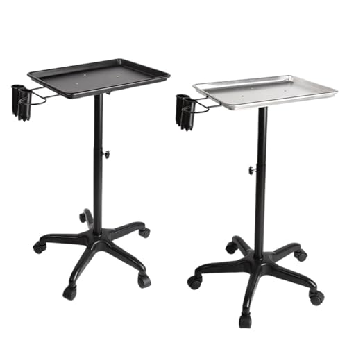 XIEweiZHI Carro rodante for Tatuajes, salón de Belleza, SPA, Equipo móvil, Carro de Herramientas de peluquería, Bandeja de Instrumentos de Servicio, Negro/Plata(Black)