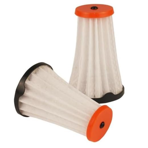 Electrolux EF144 EF144-Filtro Interior para aspiradores ErgoRápido Rápido, Autre