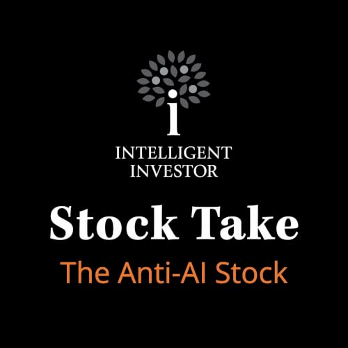 Stock Take: The Anti-AI Stock