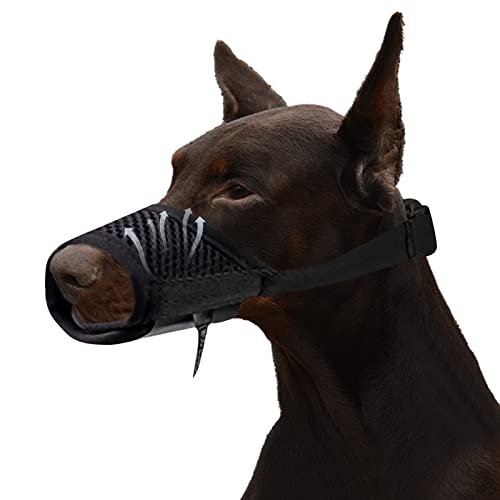 Lxnoap ubN NCbN}Y ^p Jo[ ߉\ ߂ K ʋC  i  TCY XL