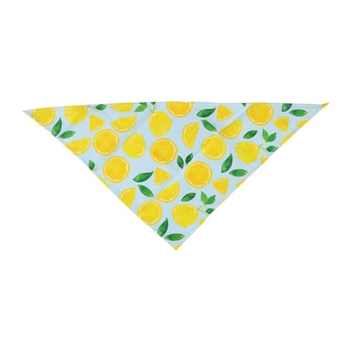 Outanaya ybgXJ[t Lp֏ z ʋCǍD \ ێ  ybgANZT[ 蕨