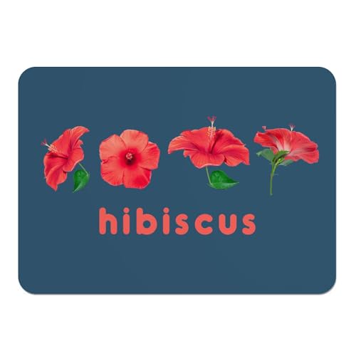 Sets de table souples en liège napperons bleu hibiscus rouge grand format 4pcs - 2