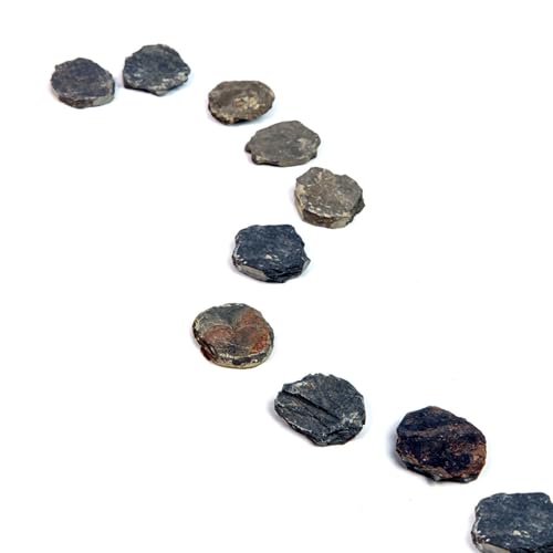 XRI XURUOYI 10Pcs Natural Miniature Small Stepping Stone Figure.Fairy Garden Supplies.Terrarium Accessories.Pathway Stones.Stairs.Shrimp Tank Decor.Bonsai Forest/Patio Pots Decoration.