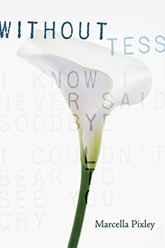 Without Tess view 2
