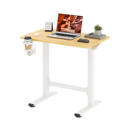 FitStand Pneumatic Standing Desk 31.5"x19.7" with Casters