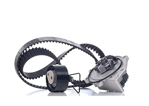 Kit de distribution INA 530037630 avec pompe à eau pour Freelander, MG et Rover