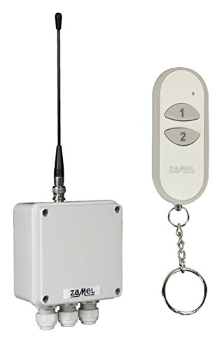 exta Free de 2u00a0Canales de Radio Red Interruptor Set, 1u00a0Pieza, RWS de 311u00a0D/Z