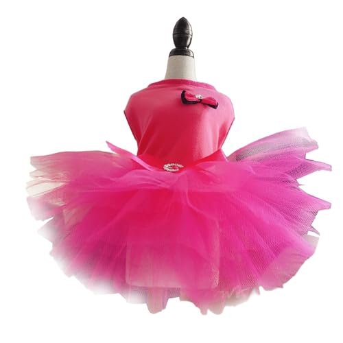 IUOUTG t@bVÂq̃vZXhX,Ȍ̂߂̋|t[Xouc[cbVXJ[g,̌̒ap[eB[̂߂̌̌̈ߑ