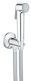 Diseño moderno Grohe Tempesta- F Trigger Spray 30 - Conjunto de ducha 1 jet con soporte, color cromo (Ref.26358000)