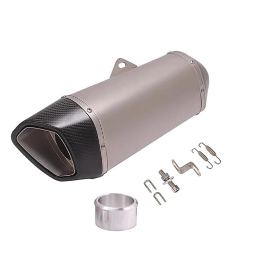 Silencieux moto en carbone pour Z900 et Ninja400 avec finition argent de haute qualité