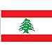 Lixure Flagge Libanon 150x240cm Libanesische Fahne -Polyester, Digitaldruck, lebendige Farbe, lichtbeständig, doppelt genäht, mit Messingösen für Garten Innen- Außenbereich