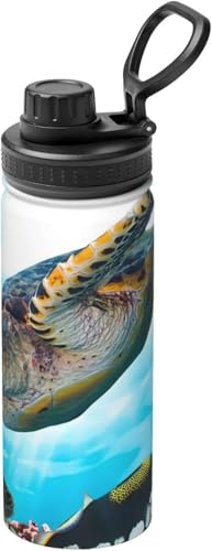 }OJbv RrjJbv ^fM C T  XeX{g X|[cΉ ۉ ۗ RȂ 530ml  ^ Rɂ 􂢂₷  ʋ ԗp v[g