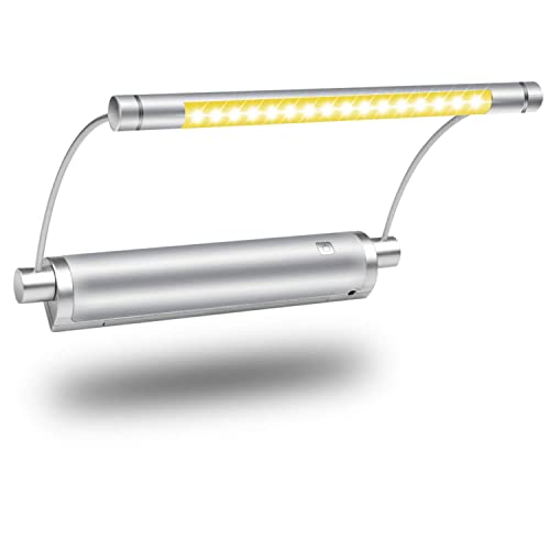 Luxsway Wireless Picture Light With Remote, Painting Lighting Battery Powered, 9 Inch Rotatable Light Head Art Accent Light, Timer Auto Off, 3 Modes Dimmable Display Light For Picture Canvas Artwork #TOP18