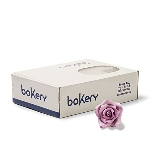 Decora 0500044 Cf 56 Rosa Piccola Glicine