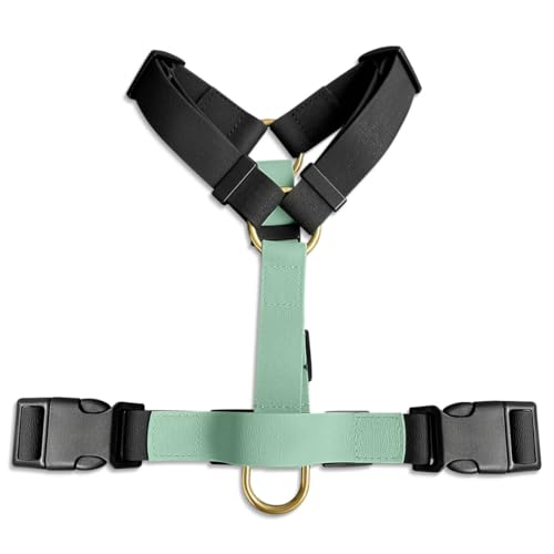 Hey Lana Hundegeschirr Handmade, 5-Fach verstellbar & wasserfest, Made in Germany, kleine bis sehr große Hunde, Führgeschirr Brustgeschirr Führungsgeschirr Training (M, schwarz/Mint)