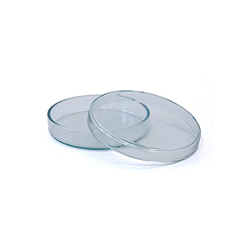 100 x Petrischale 100x15mm aus Kalk-Soda-Glas ohne Nocken - bis 135°C im Autoklaven sterilisierbar - Petrischalen, Kulturschale, Agar Agar Schale, Zellkulturschale, Kulturschalen, Agar Agar Schalen, Zellkulturschalen