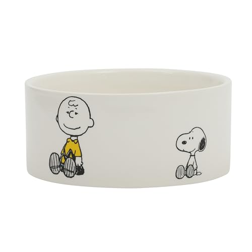 Peanuts Snoopy & Charlie Brown 6