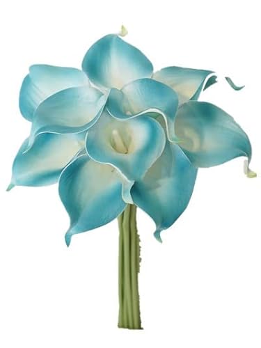 Sweet Home Deco Latex Real Touch 15