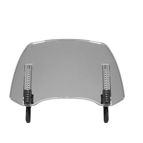 I[goCEChXN[ R1250GSp XYLp I[goCp tgKX jo[T EBhXN[  EBhfBtN^[ ANZT[ oCN(Type A-Smoke)