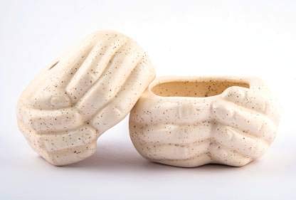 Lyallpur Stores Ceramic Pots for Plants Hand Shape - Small Size (White Color, 5 cm) Ceramic Planters for Indoor Plants, Living Room. [Plant Not Included, Pack of 2] (B08GLNYSLQ) Amazon Price History, Amazon Price Tracker