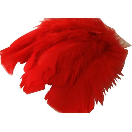 s m sas Environ 25 Plumes Coloris Rouge Deco fête Mariage Costume déguisement