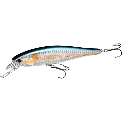 Lucky Craft Pointer 100 mm Cebo (MS American Shad, 10 Pulgadas)