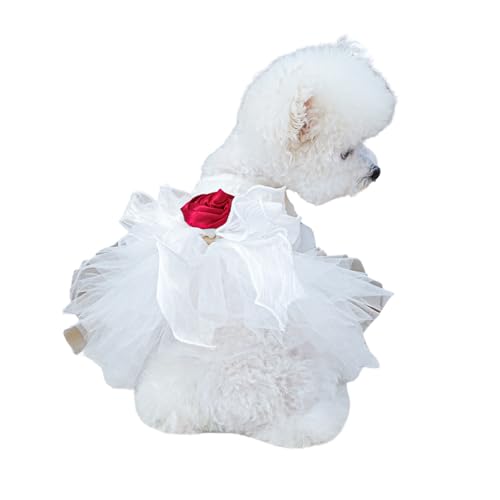 Harikaji ^ EFfBOhXALtH[}hX ybg uC_x[ `` L tFeEFfBOZj[ ap[eB[([YAL)