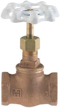 Globe Valve, 3/4 In., Low Lead Bronze