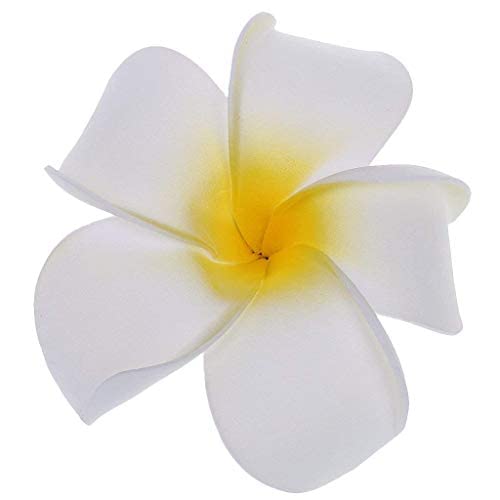 Women Girls Plumeria Flower Foam Juda Pin -White Flower Hair Clips (Pack of 6)-image-24