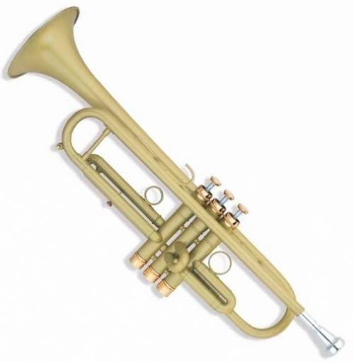 trąbka instrument Trąbka hiszpańska lakierowana w kolorze złotym w tonacji B z mosiężnym instrumentem dętym o płaskich ustach