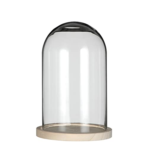 Campana de cristal cúpula de cristal, campana de cristal, cúpula con base, diámetro de 14 cm, altura: 21 cm con base de madera, diámetro de cristal: 11,5 cm de diámetro – altura del cristal: 20 cm