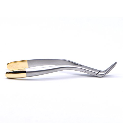 Dental Tooth Extraction Forcep For Root Fragment Minimally Invasive Dental Instrument Curved Forcep (Maxillary And Mandibular Teeth) #TOP2