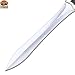 Handmade Carbon Steel Ancient Greet Short Sword, Roman Gladius Sword