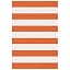 Orange and White Striped