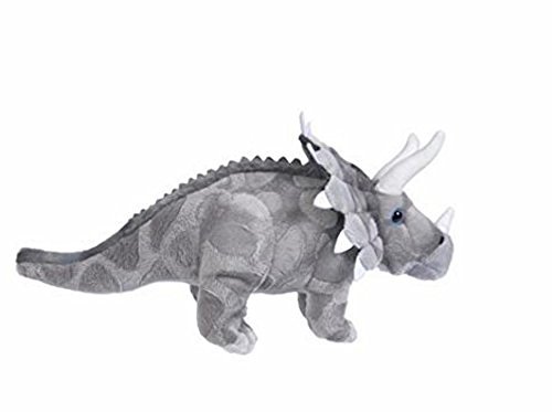 Triceratops 13