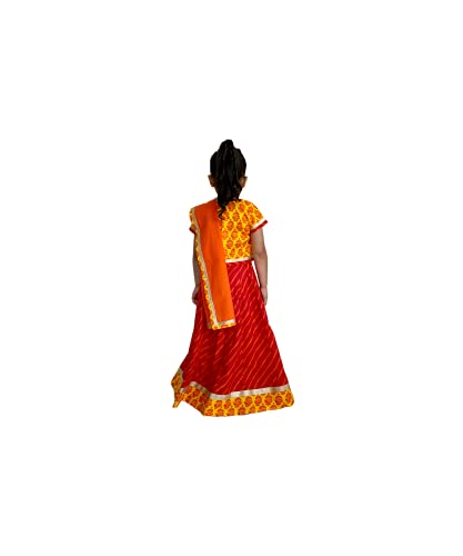 Traditional Indian Multicolor Cotton Lehenga Choli For Girls3