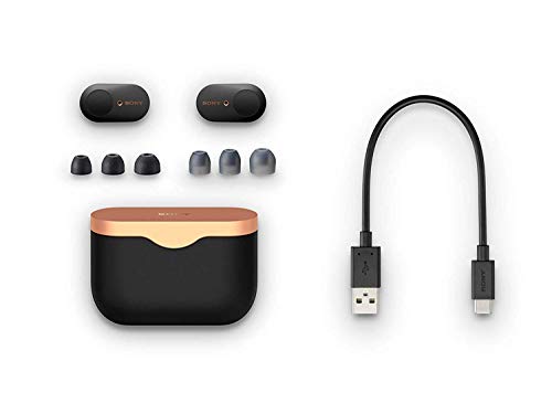 Sony WF-1000XM3 True Wireless Bluetooth Noise Canceling in-Ear