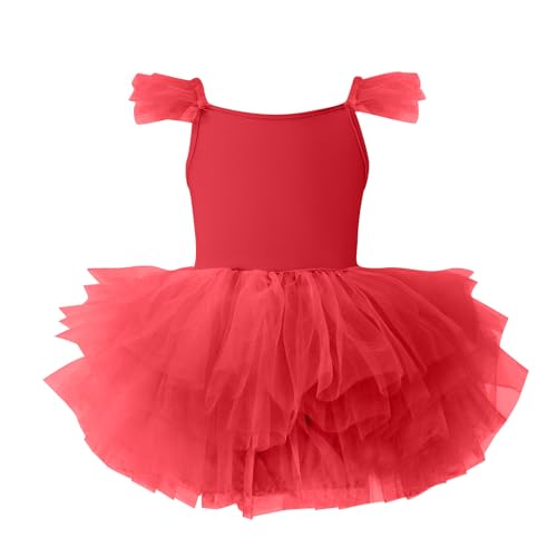 Toddler Girls Camisole Ballet Tutu Dresses Spaghetti Strap Dance Leotard with Fluffy Layers Shiny Ballerina Tulle Skirt 3-10T