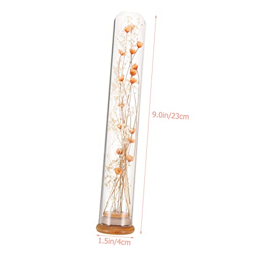 2 piezas flores secas en botellas de cristal decorativas miniatura 2