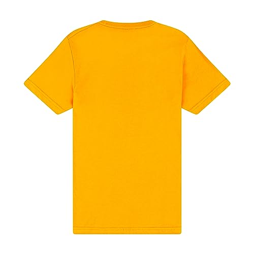 Image of Gildan Men T-Shirt